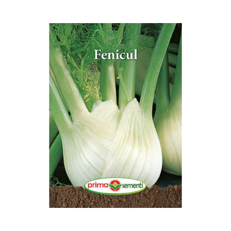 Seminte - Seminte Fenicul 2g - Planta Aromatica si Medicinala Versatila si Foarte Productiva