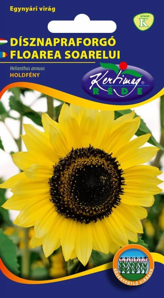 Seminte flori - Seminte Floarea Soarelui Decorativa Moonshine 2g Kertimag - Galben Lamai Delicat