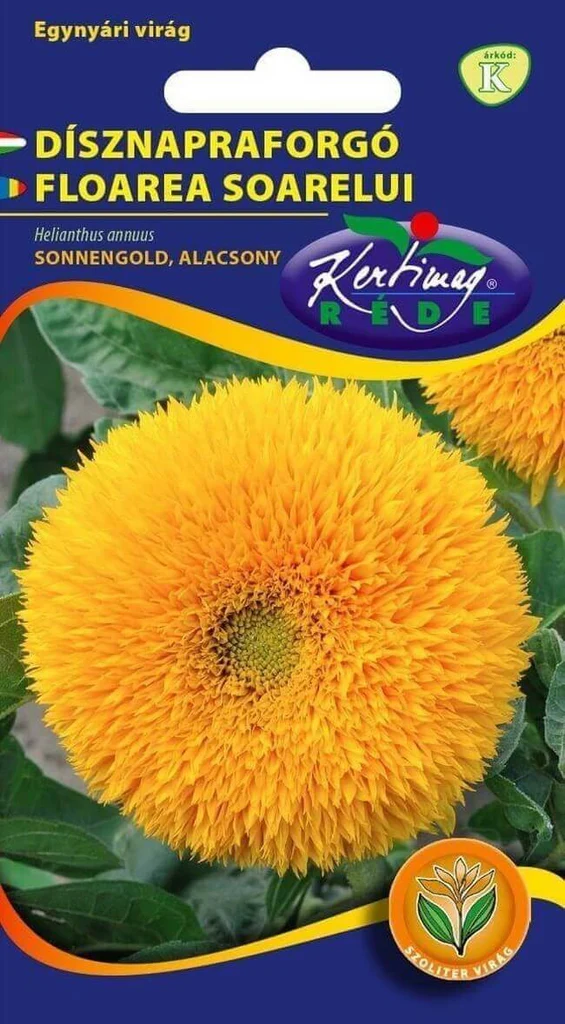 Seminte flori - Seminte Floarea Soarelui Decorativa Sonnengold Pitic 2g Kertimag - Flori Batute pentru Ghiveci