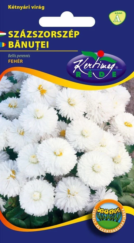 Seminte flori - Seminte Flori Banutei Albi 0.2g Kertimag - Bellis Perennis pentru Gradini de Primavara