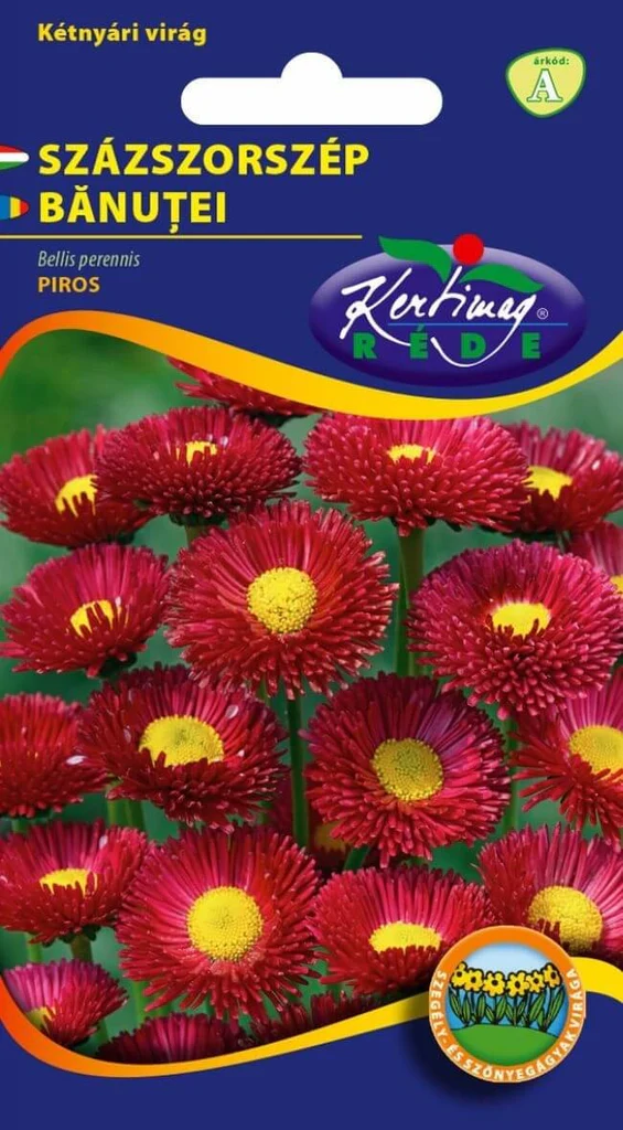 Seminte flori - Seminte Flori Banutei Rosii 0.2g Kertimag - Bellis Perennis pentru Borduri si Rondouri