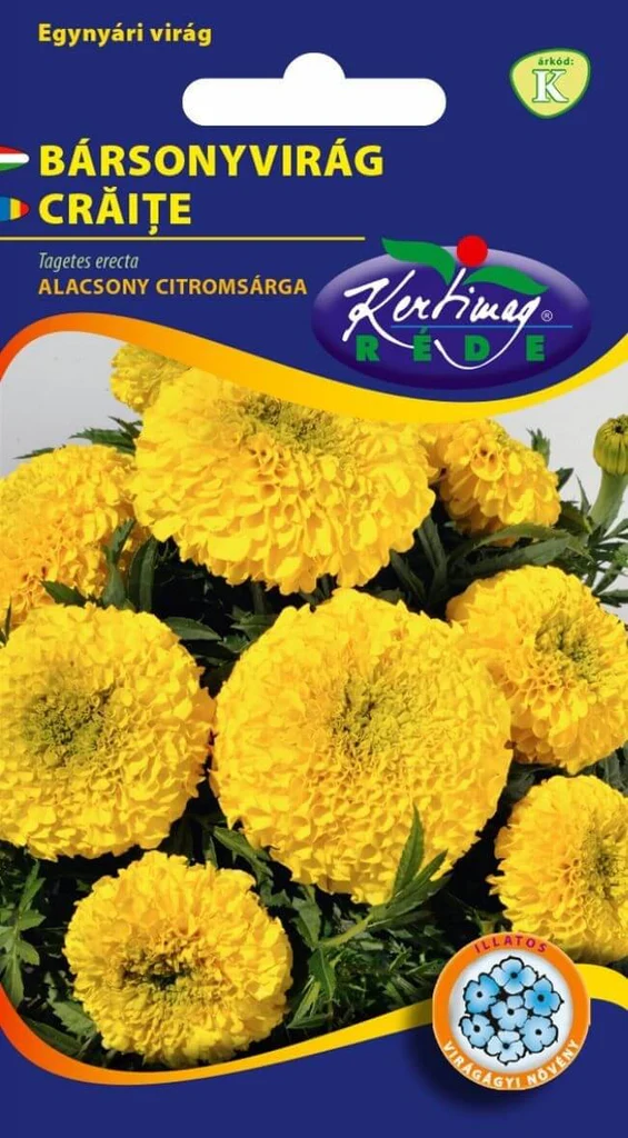 Seminte flori - Seminte Flori Craite Pitice Galbene 1g Kertimag - Rezistente si Straleucitoare