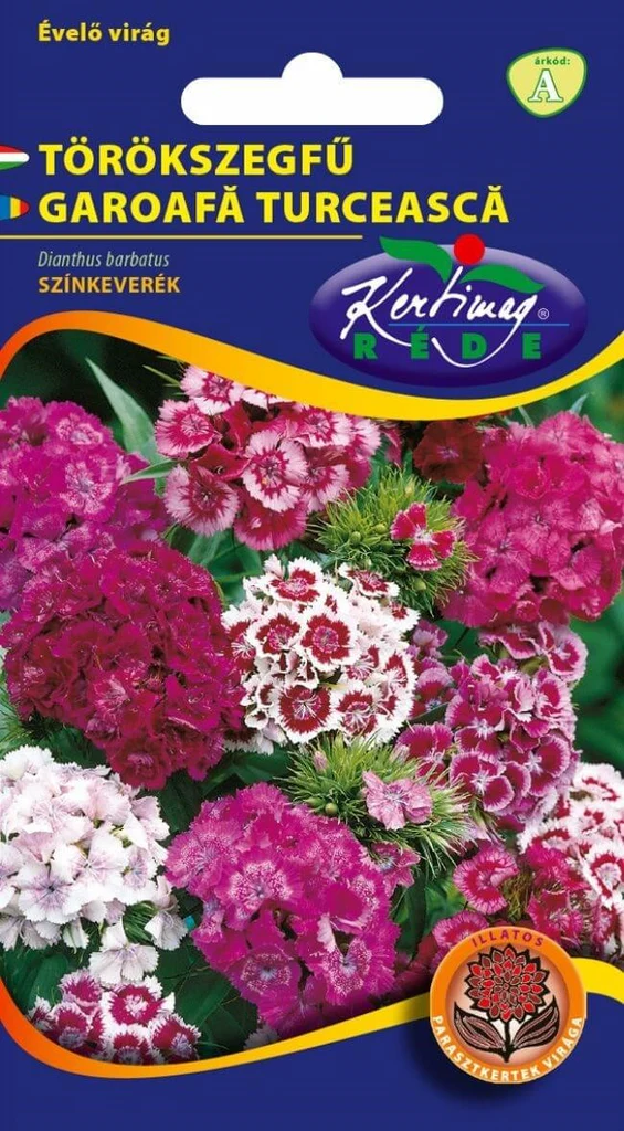 Seminte flori - Seminte Flori Garoafa Turceasca Kertimag 0.25g, Planta Bienala Parfumata Multicolora de Gradina