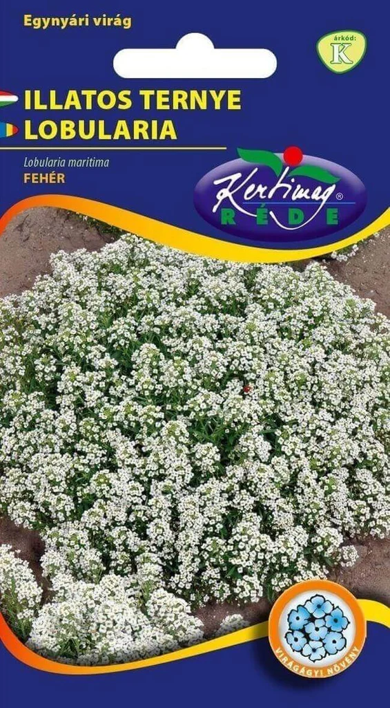 Seminte - Seminte Flori Lobularia Maritima Alb 1g Kertimag - Alyssum Parfum de Miere