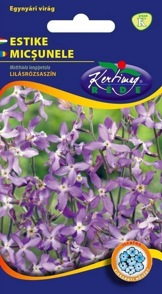 Seminte flori - Seminte Flori Micsunele Mov de Noapte 1g Kertimag - Parfum Hipnotic de Seara