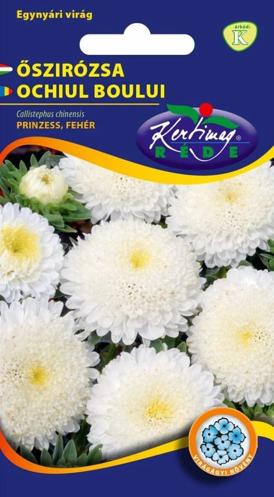 Seminte flori - Seminte Flori Ochiul Boului Princess Alb 1g Kertimag - Flori de Vara Elegante