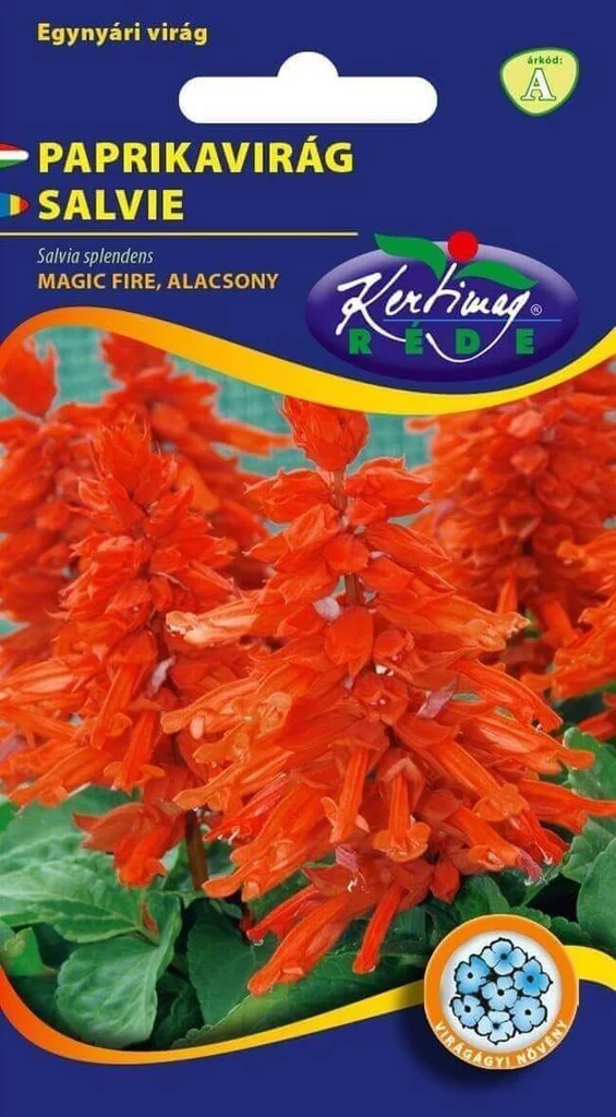 Seminte flori - Seminte Flori Salvie Decorativa Magic Fire Pitic 0.5g Kertimag - Rosu Aprins de Durata