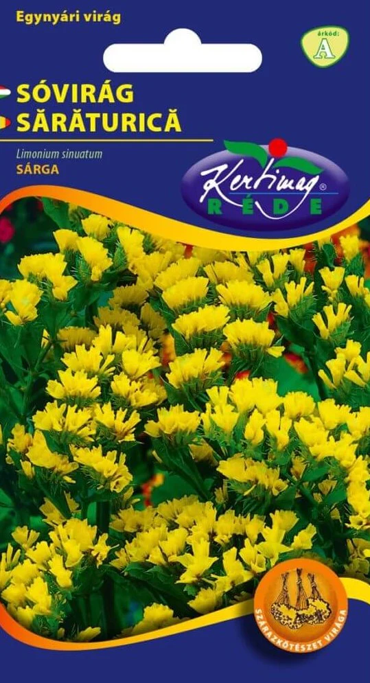 Seminte flori - Seminte Flori Saraturica Galben 0.5g Kertimag - Statice pentru Buchete Uscate
