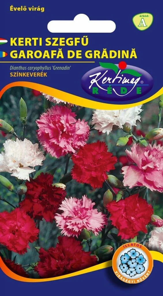 Seminte flori - Seminte Garoafa de Gradina Grenadin 0.25g Kertimag - Flori Parfumate si Elegante