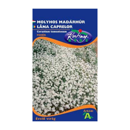 Seminte flori - Seminte Lana Caprelor Alba 0.25g Kertimag - Cerastium Tomentosum Covor Argintiu