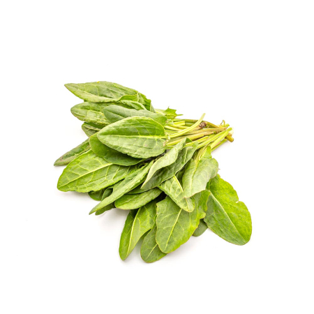 Seminte Macris 1.5g - Planta Perena Timpurie Bogata in Vitamina C si Foarte Productiva [2]