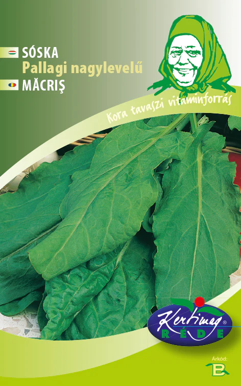 Verdeturi - Seminte Macris Palaggi, Plic 3g, Planta Perena Rezistenta, Kertimag