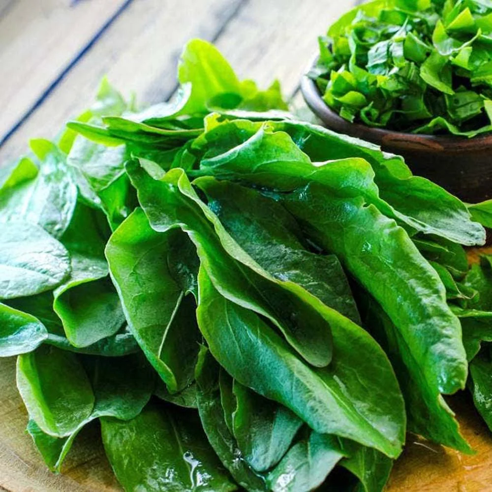 Seminte Macris Pallagi 2g Kertimag - Planta Perena Timpurie [3]