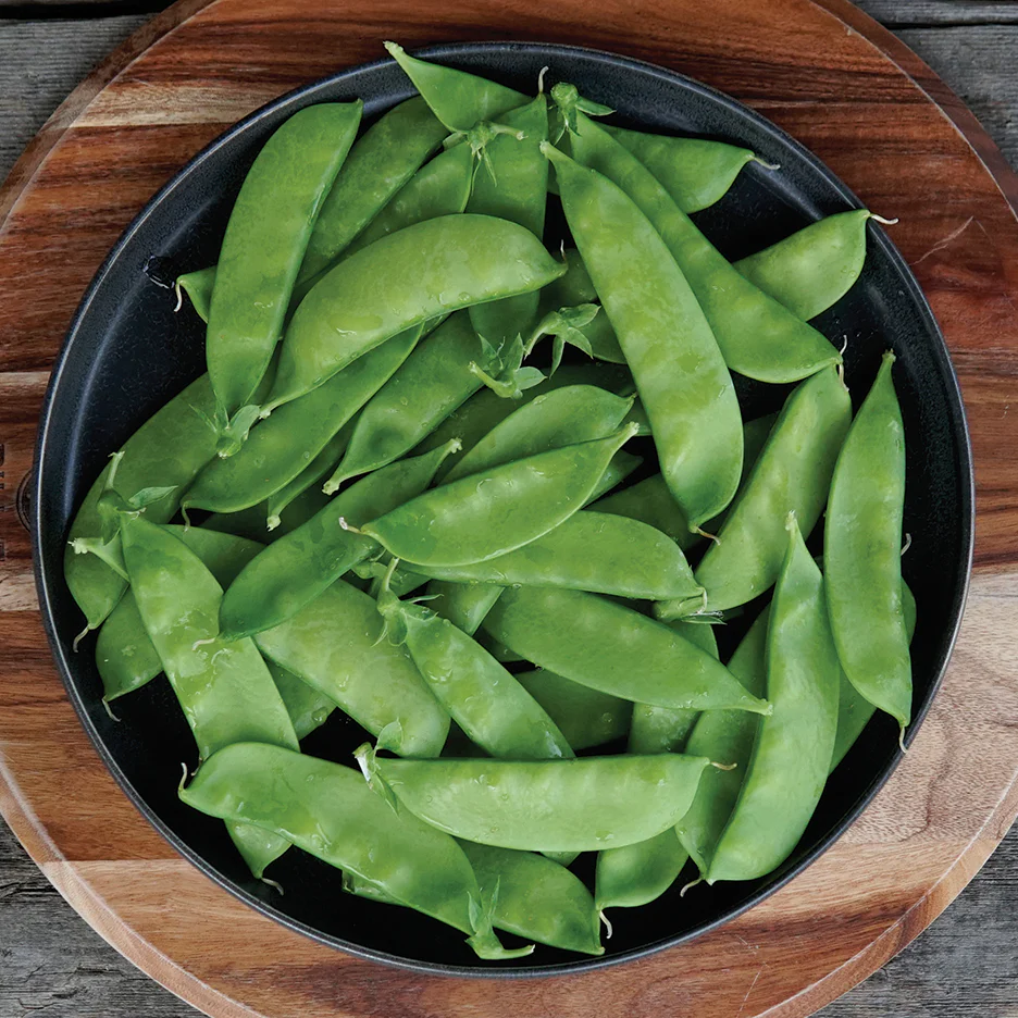 Seminte Mazare Oregon Sugar Pod 50g Kertimag - Mazare Zahatata de Mangetout [1]