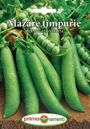 Seminte fasole - Seminte Mazare Timpurie Meraviglia D'Italia 20g - Soi Dulce Productiv