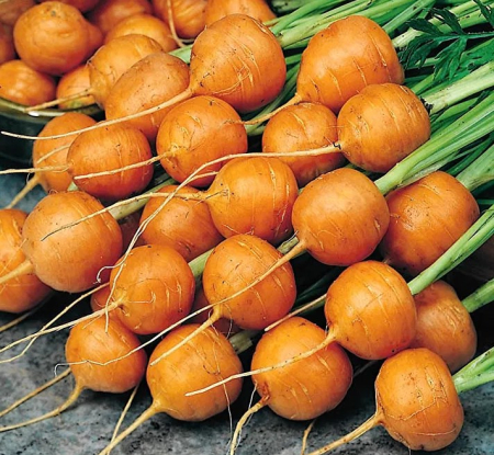 Seminte Morcov Mercado de Paris 2g Agrosem - Forma Rotunda si Gust Dulce [1]