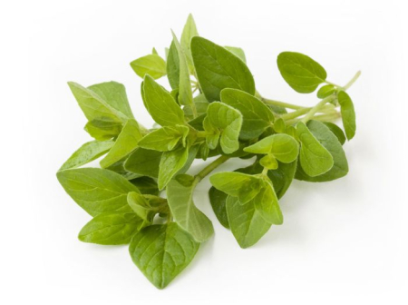 Seminte Oregano Sovarv 0.5g Kertimag - Planta Aromatica si Medicinala Perena [1]