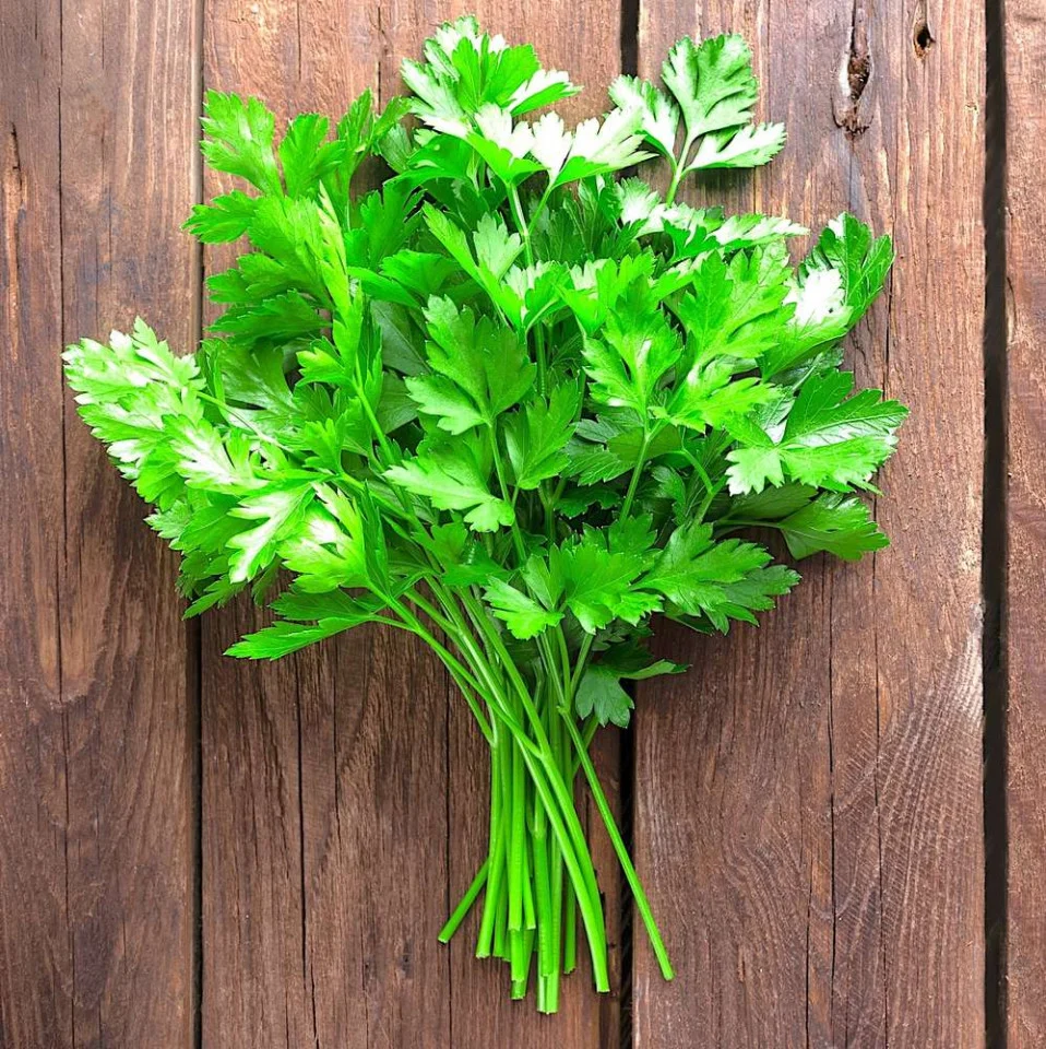 Seminte Patrunjel de frunze comune 5g Prima Sementi - Aroma Intensa si Productie Bogata [1]