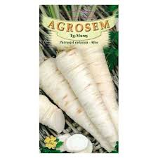 Patrunjel de radacina - Seminte Patrunjel de radacina Alba 20g Agrosem - Radacini Albe si Aromate