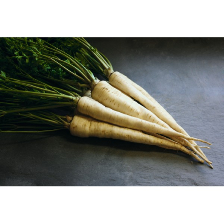 Seminte Patrunjel de radacina Alba 20g Agrosem - Radacini Albe si Aromate [3]