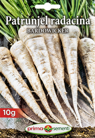 Patrunjel de radacina - Seminte Patrunjel de Radacina Bardowicker 10g - Soi Tardiv Foarte Aromat