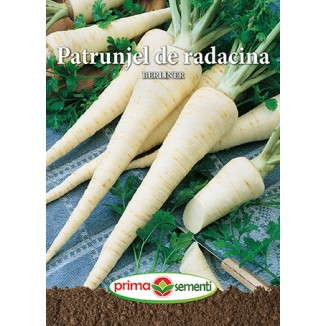 Patrunjel de radacina - Seminte Patrunjel de Radacina Berliner 5g Prima Sementi - Productiv si Aromat