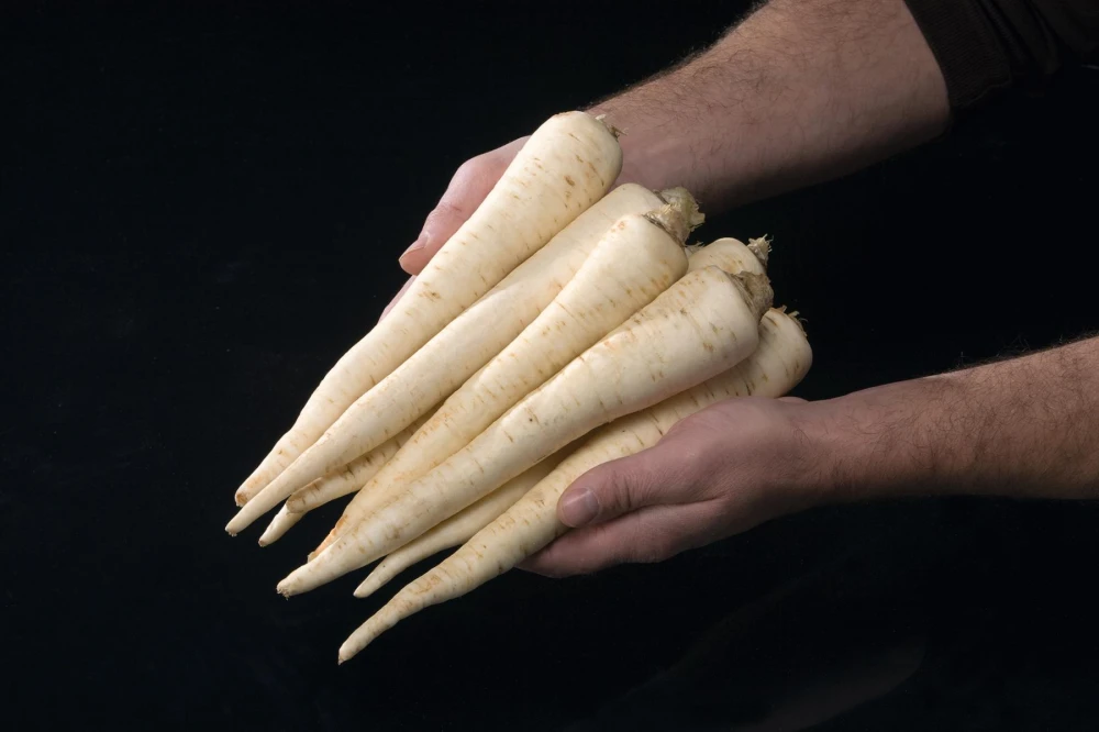 Seminte Patrunjel de Radacina Halflange 5g Kertimag - Soi Productiv si Foarte Aromat [1]