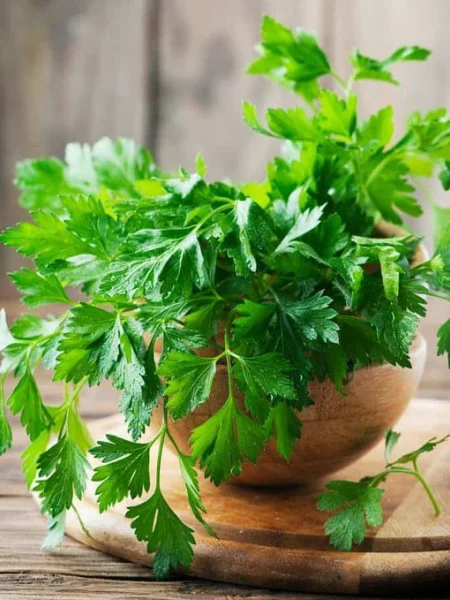 Seminte Patrunjel Frunza Neted Italian Gigant 4g Agrosem - Aroma Puternica [1]