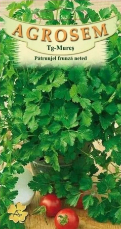 Seminte - Seminte Patrunjel Frunza Neteda 30g Agrosem - Aroma Clasica si Productie Bogata