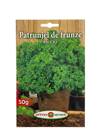 Patrunjel de frunze - Seminte Patrunjel Frunze Riccio 50g - Soi Cret Decorativ si Productiv