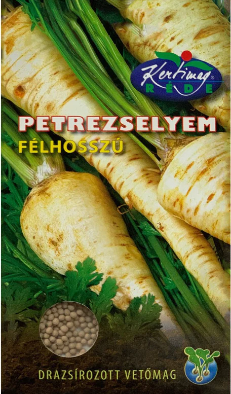 Patrunjel de radacina - Seminte Patrunjel Semilung 420 sem Kertimag - Radacina Aromata si Productiva