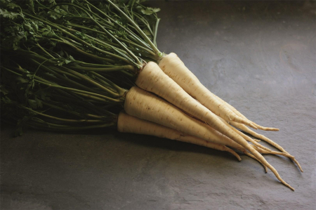 Seminte Patrunjel Semilung 420 sem Kertimag - Radacina Aromata si Productiva [1]