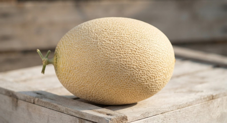Seminte Pepene Galben Ananas F1 2g - Hibrid Tip Ananas Foarte Dulce si Parfumat [2]