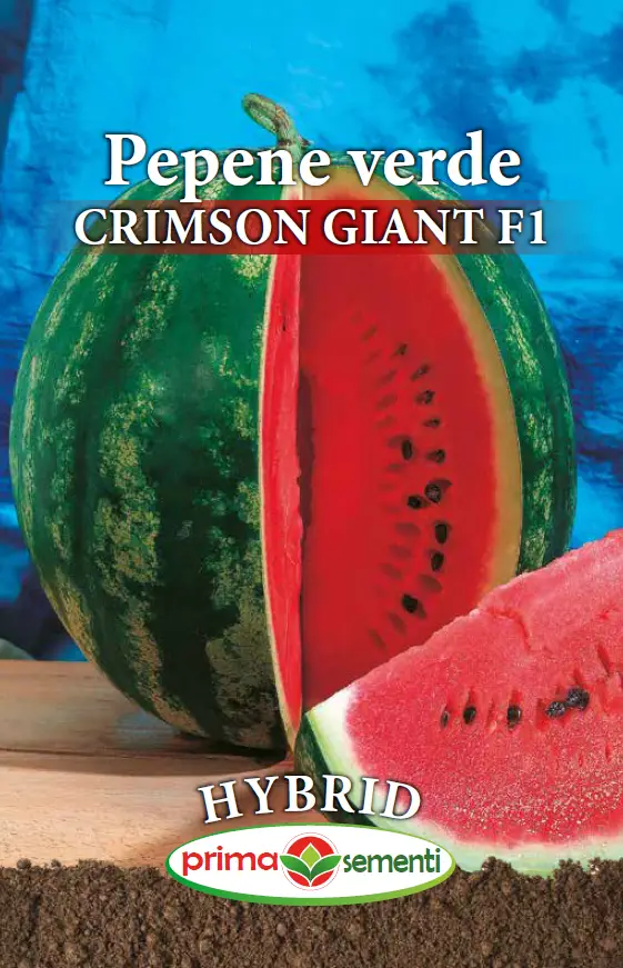 Pepene - Seminte Pepene Verde Crimson Giant F1 Hybrid 3g Prima Sementi - Dulce si Urias