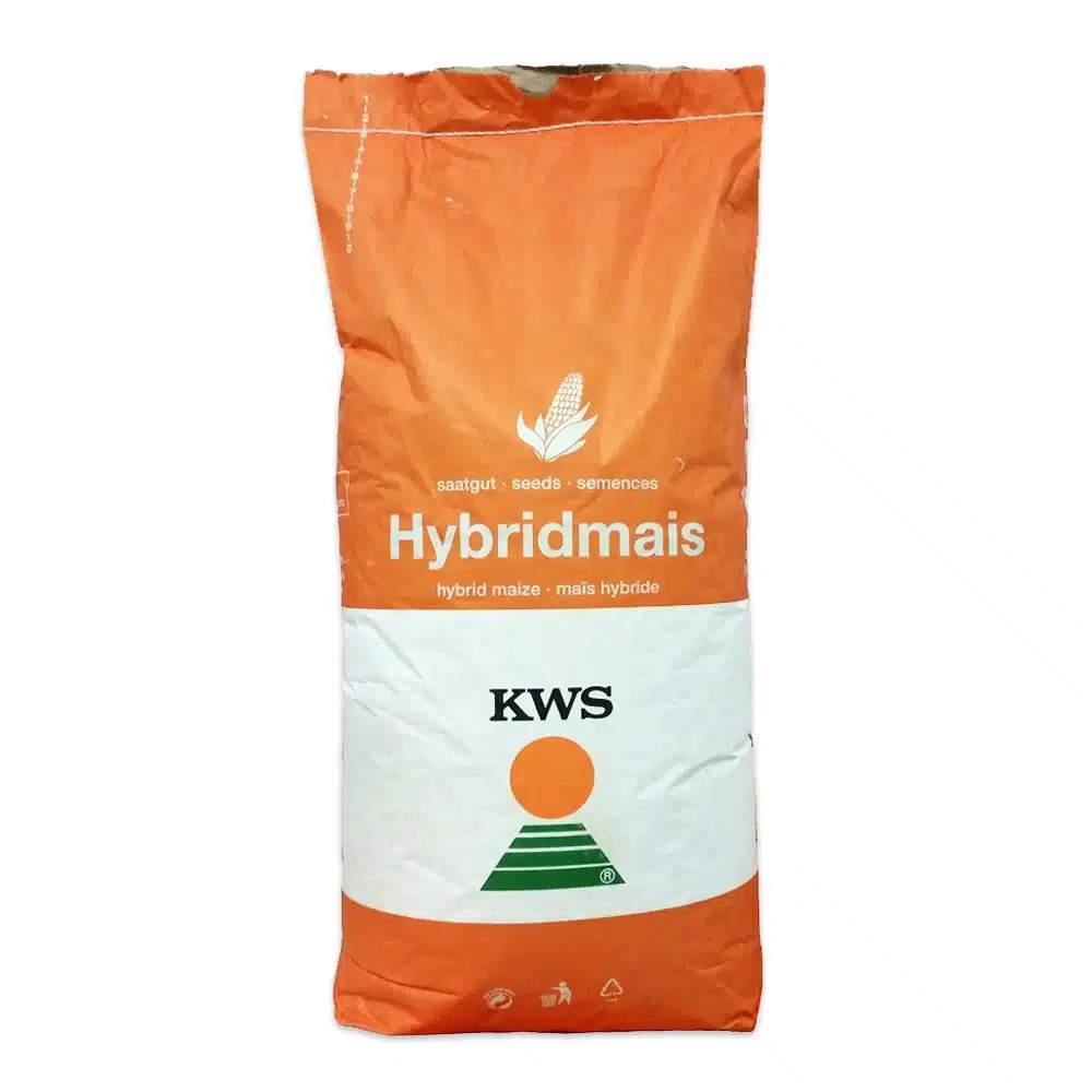 Seminte Porumb - Seminte Porumb KWS Hypolito, FAO 350, Tratament Initio, Sac 50.000 Boabe, Potential Ridicat de Productie