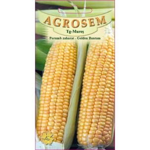 Seminte Porumb - Seminte Porumb Zaharat Golden Bantam 10g Agrosem - Dulce si Fraged