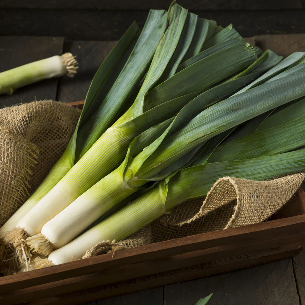 Seminte Praz Winner 1g Kertimag - Soi Productiv cu Tulpina Lunga si Alba [1]