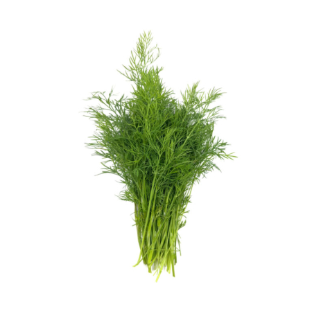 Seminte Legume Profesionale - Seminte profesionale Marar Annette 100g Klastorf - Soi Aromatic cu Crestere Rapida