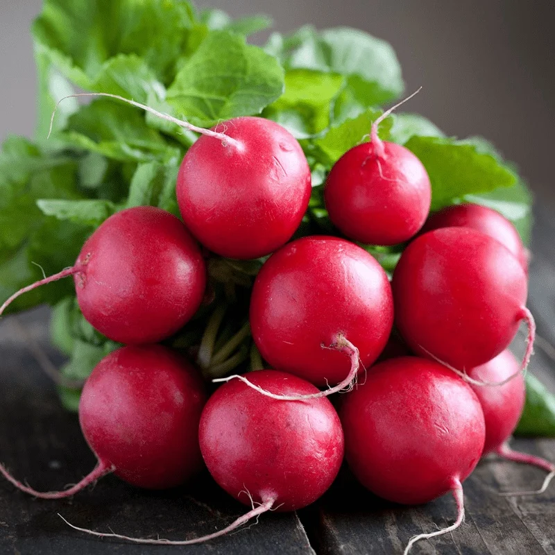 Seminte Legume Profesionale - Seminte profesionale Ridichi Sora 0.1 kg Klastorf - Soi de Tot Anul, Calitate Premium