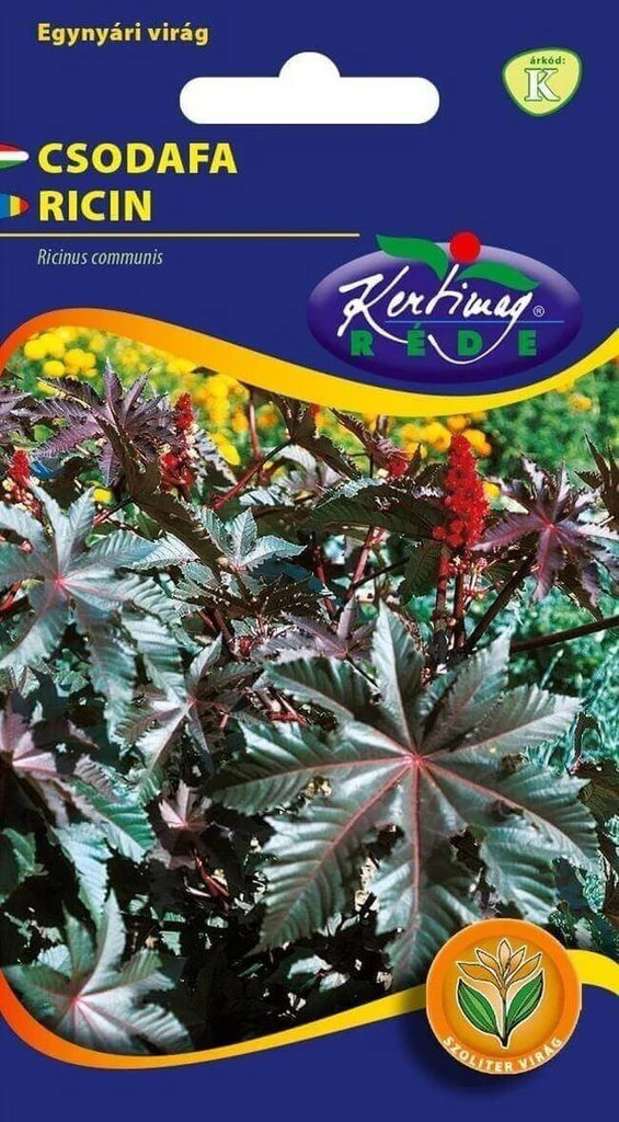 Seminte plante aromatice - Seminte Ricin (Ricinus communis), 3 g, Kertimag, Planta Ornamentala Gigant si Repelent Cartite