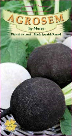 Seminte - Seminte Ridichi de Iarna Black SpanishRound 150g Agrosem - Ambalaj Profesional
