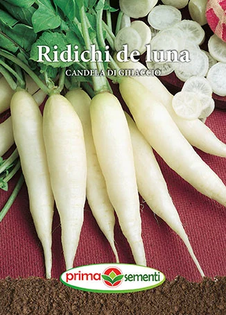 Seminte ridichi - Seminte Ridichi de Luna Candela di Ghiaccio 6g Prima Sementi - Ridiche Alba Lunga