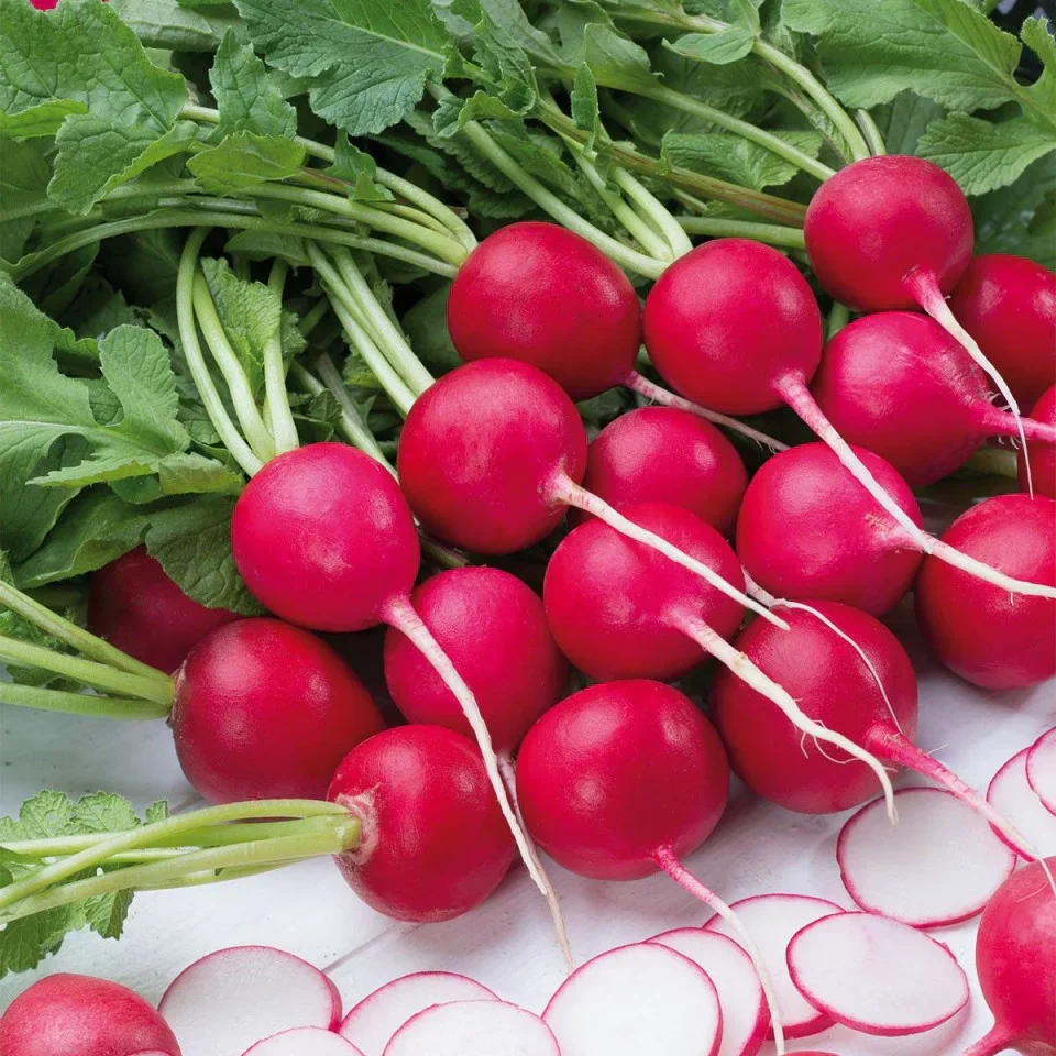 Seminte Ridichi de Luna Sora, Plic 4g, Radacini Fragede si Rezistente la Lemnificare, Kertimag [3]