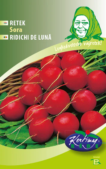 Seminte ridichi - Seminte Ridichi de Luna Sora, Plic 4g, Radacini Fragede si Rezistente la Lemnificare, Kertimag