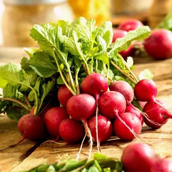 Seminte Ridichi de Luna Sora, Plic 4g, Radacini Fragede si Rezistente la Lemnificare, Kertimag [1]