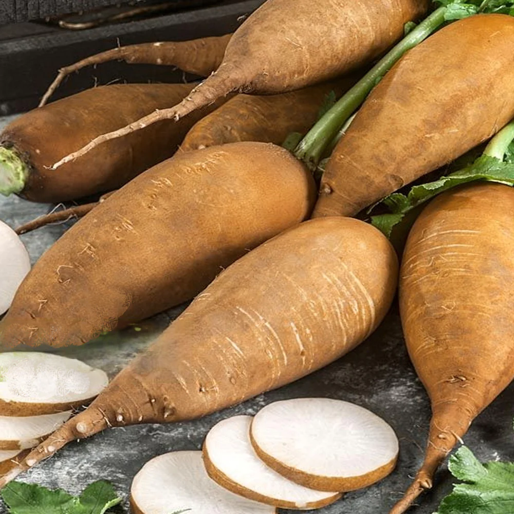 Seminte Ridichi de Vara Janospapi 3g Kertimag - Soi Alb, Crocant si Productiv [1]