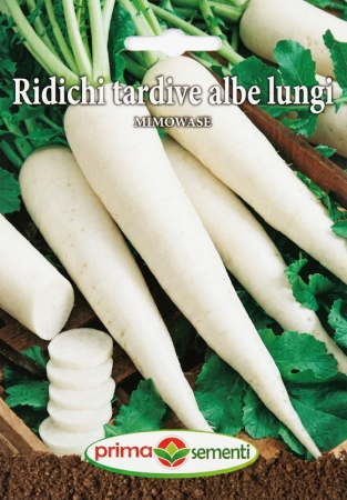 Seminte ridichi - Seminte Ridichi Tardive Albe Lungi Mimowase 6g - Soi Daikon Productiv