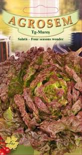 Seminte salata - Seminte Salata Four Seasons Wonder 1g Agrosem - Salata Rosiatica de Tot Anul