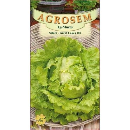 Seminte salata - Seminte Salata Great Lakes 118 12g Agrosem - Capatana Mare si Textura Crocanta