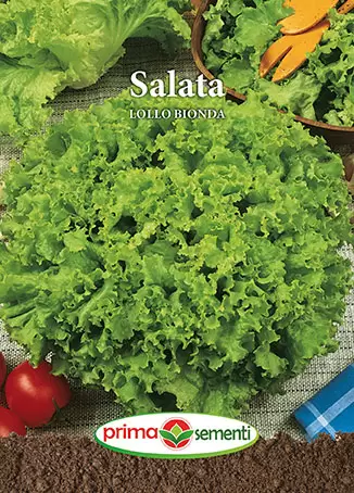 Seminte - Seminte Salata Lollo Bionda 2g - Soi Cret Fraged Foarte Productiv si Rezistent la Înflorire